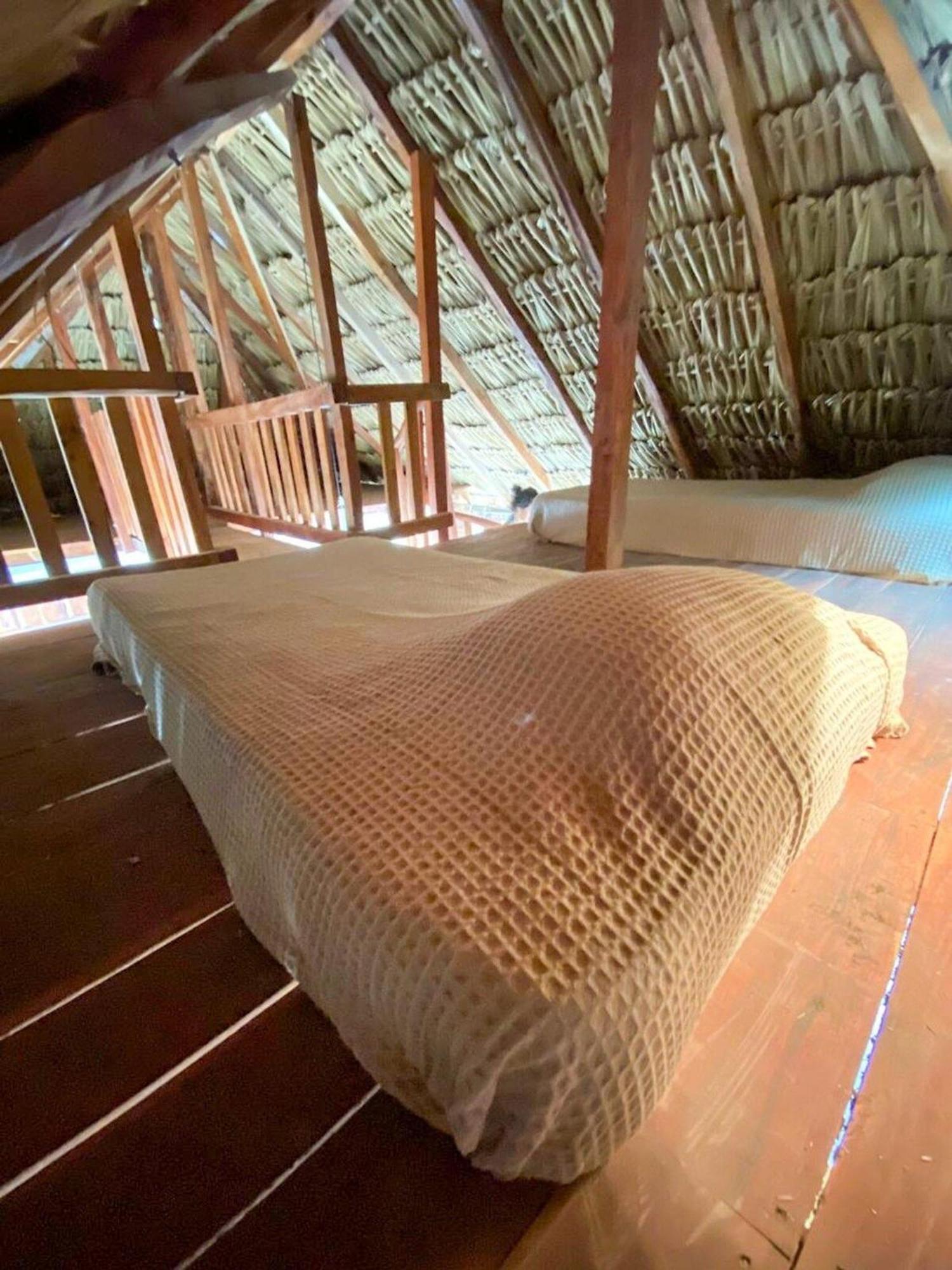 Casa Tropicana El Cuyo Ngoại thất bức ảnh