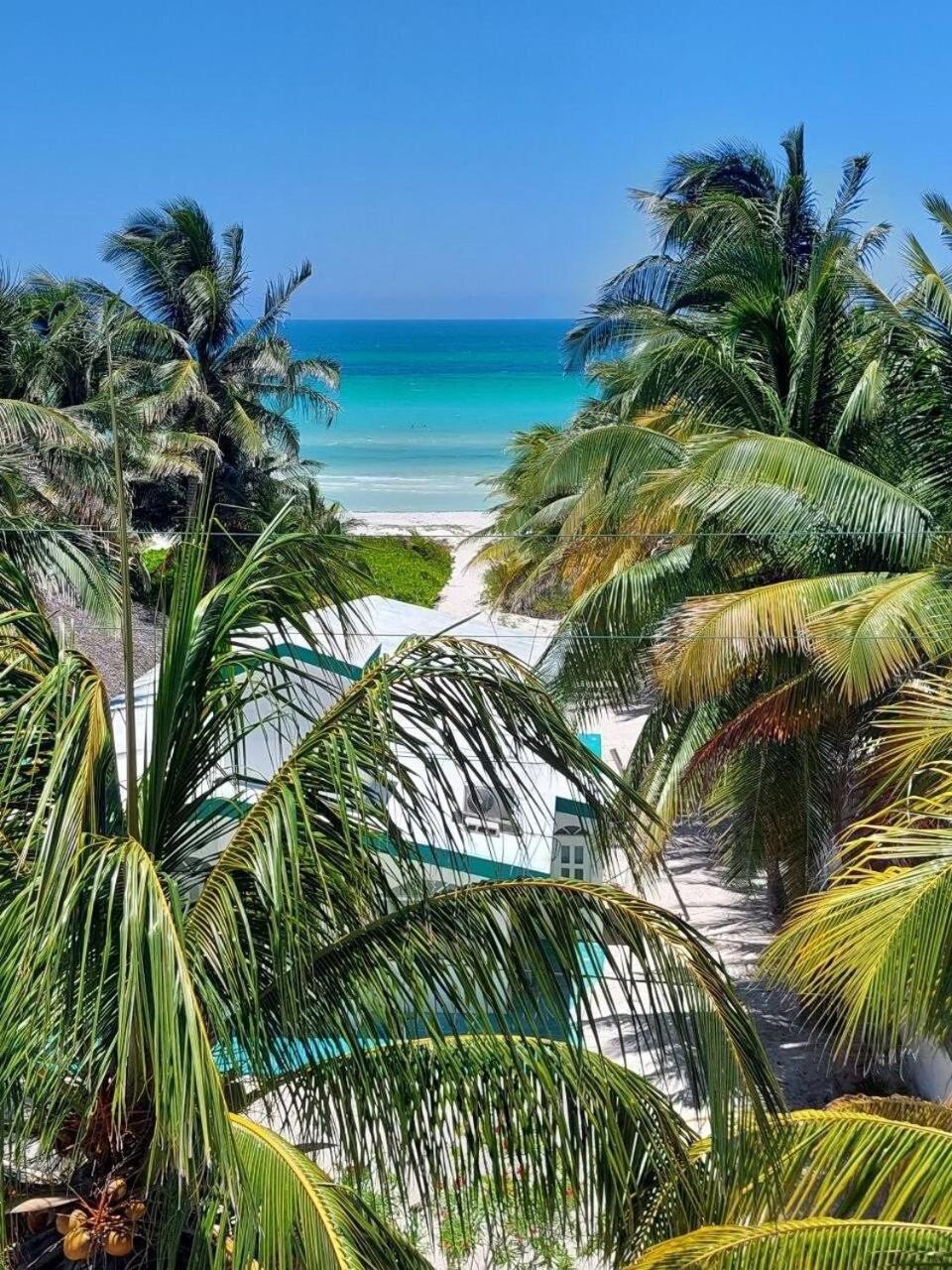 Casa Tropicana El Cuyo Ngoại thất bức ảnh